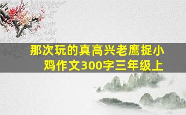 那次玩的真高兴老鹰捉小鸡作文300字三年级上