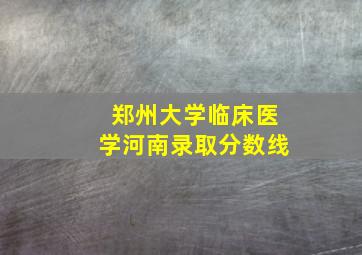 郑州大学临床医学河南录取分数线