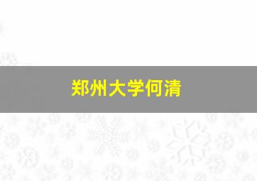 郑州大学何清