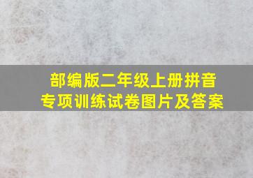 部编版二年级上册拼音专项训练试卷图片及答案