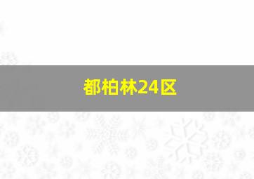 都柏林24区