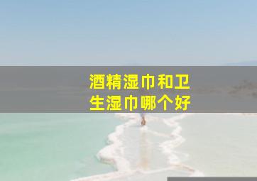 酒精湿巾和卫生湿巾哪个好