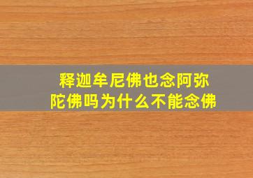 释迦牟尼佛也念阿弥陀佛吗为什么不能念佛