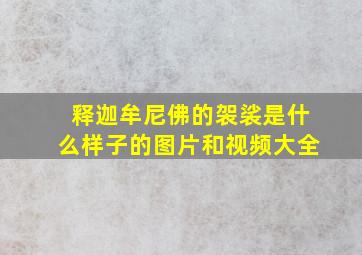 释迦牟尼佛的袈裟是什么样子的图片和视频大全