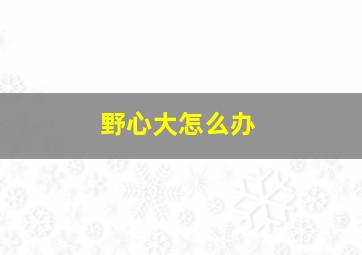 野心大怎么办