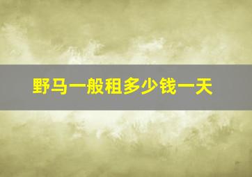 野马一般租多少钱一天