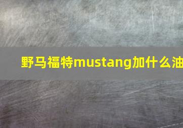 野马福特mustang加什么油