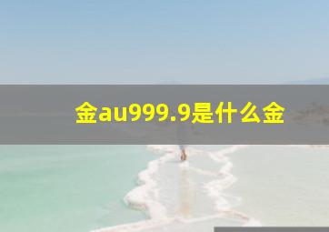 金au999.9是什么金