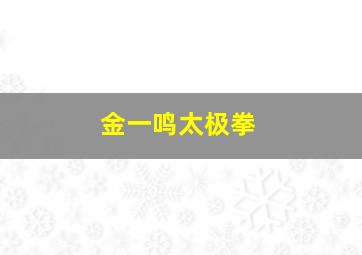 金一鸣太极拳