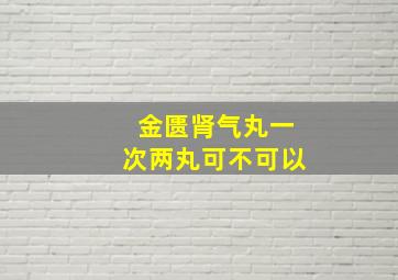 金匮肾气丸一次两丸可不可以