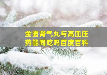 金匮肾气丸与高血压药能同吃吗百度百科