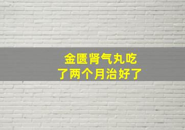 金匮肾气丸吃了两个月治好了