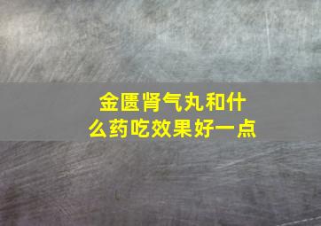 金匮肾气丸和什么药吃效果好一点