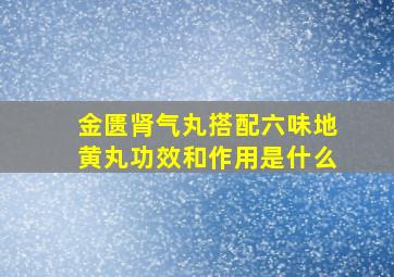 金匮肾气丸搭配六味地黄丸功效和作用是什么