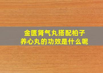 金匮肾气丸搭配柏子养心丸的功效是什么呢