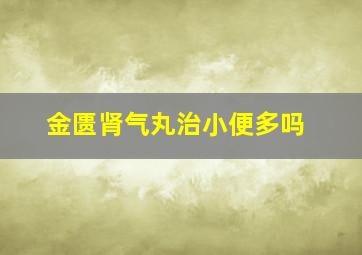 金匮肾气丸治小便多吗