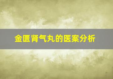 金匮肾气丸的医案分析