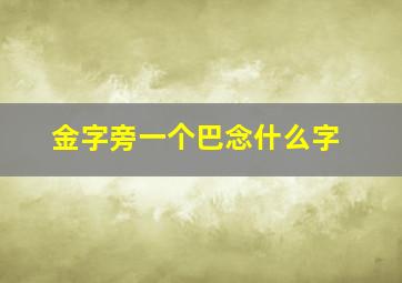 金字旁一个巴念什么字