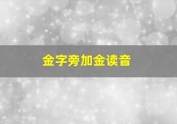 金字旁加金读音