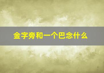 金字旁和一个巴念什么