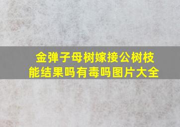 金弹子母树嫁接公树枝能结果吗有毒吗图片大全