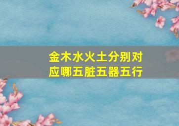 金木水火土分别对应哪五脏五器五行