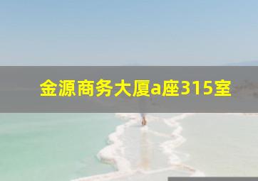 金源商务大厦a座315室