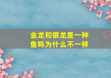 金龙和银龙是一种鱼吗为什么不一样