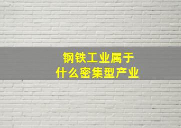 钢铁工业属于什么密集型产业