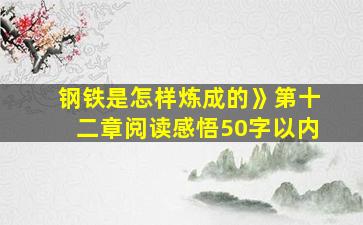 钢铁是怎样炼成的》第十二章阅读感悟50字以内