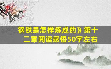 钢铁是怎样炼成的》第十二章阅读感悟50字左右