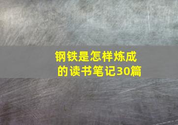 钢铁是怎样炼成的读书笔记30篇