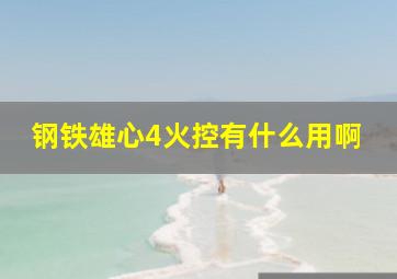 钢铁雄心4火控有什么用啊