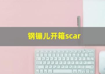 钢镚儿开箱scar