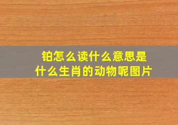 铂怎么读什么意思是什么生肖的动物呢图片