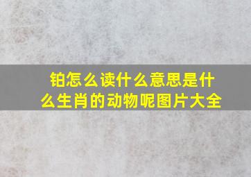 铂怎么读什么意思是什么生肖的动物呢图片大全