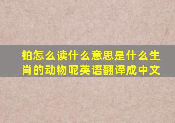 铂怎么读什么意思是什么生肖的动物呢英语翻译成中文