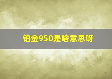 铂金950是啥意思呀