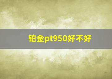 铂金pt950好不好