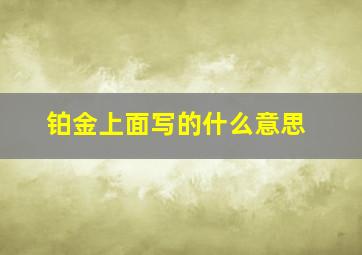 铂金上面写的什么意思