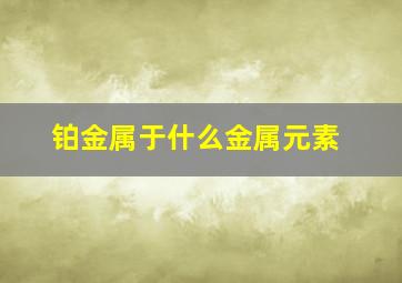 铂金属于什么金属元素