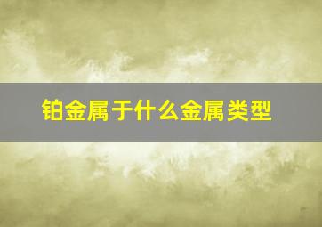 铂金属于什么金属类型