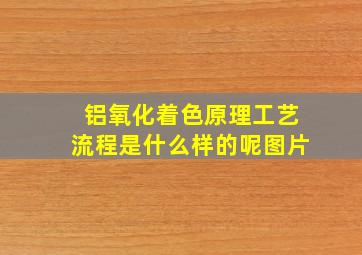 铝氧化着色原理工艺流程是什么样的呢图片