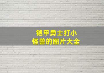 铠甲勇士打小怪兽的图片大全