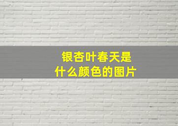 银杏叶春天是什么颜色的图片