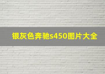 银灰色奔驰s450图片大全