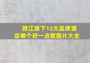 锦江旗下12大品牌酒店哪个好一点呢图片大全