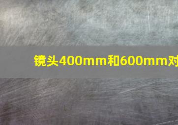 镜头400mm和600mm对比