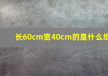 长60cm宽40cm的是什么纸