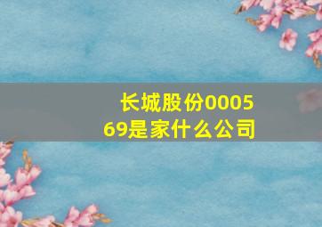 长城股份000569是家什么公司